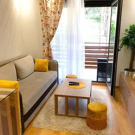 S23 Green Ζλάτιμπορ Εξωτερικό φωτογραφία
